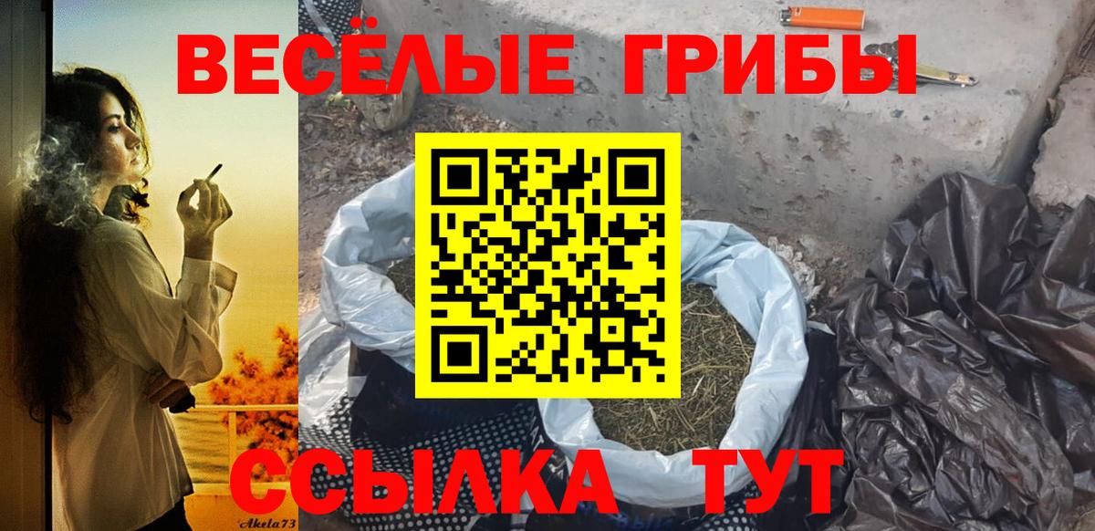 Галлюциногенные грибы GOLDEN TEACHER Кемерово