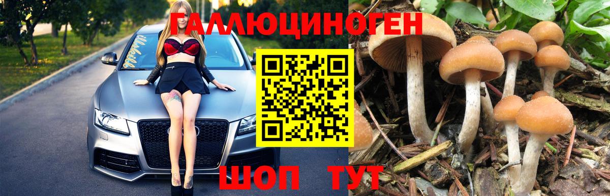 Псилоцибиновые грибы прущие грибы  Вход с VPN  Кемерово  Псилоцибиновые грибы Cubensis 